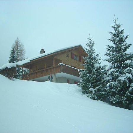 Chalet Valdonga 芙露姆赛山 外观 照片