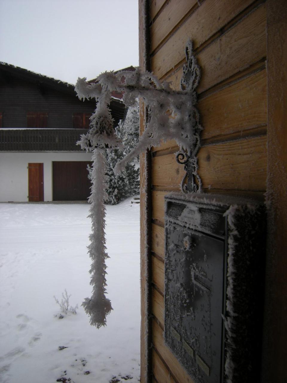 Chalet Valdonga 芙露姆赛山 外观 照片