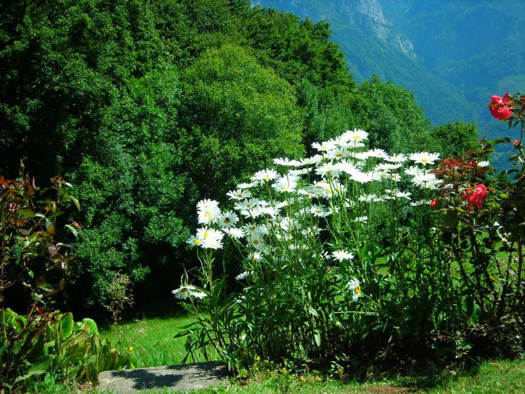 Chalet Valdonga 芙露姆赛山 外观 照片