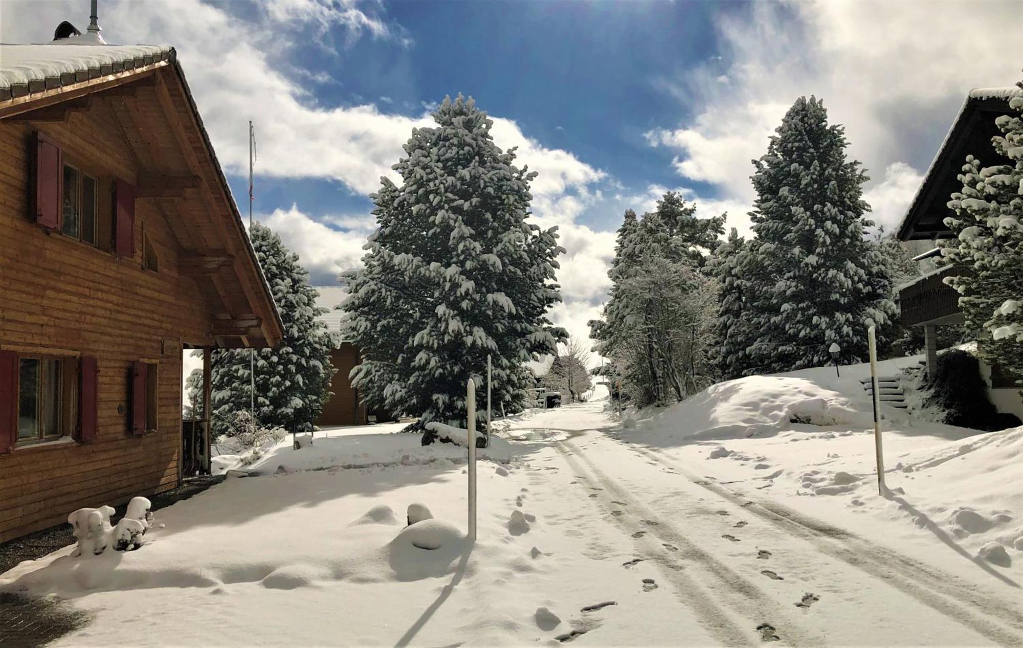 Chalet Valdonga 芙露姆赛山 外观 照片